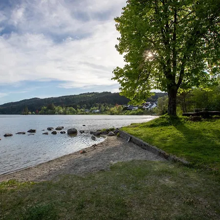 #loghomebergen * Softeland